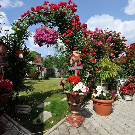 Pensiunea Sofia Timișoara Zewnętrze zdjęcie