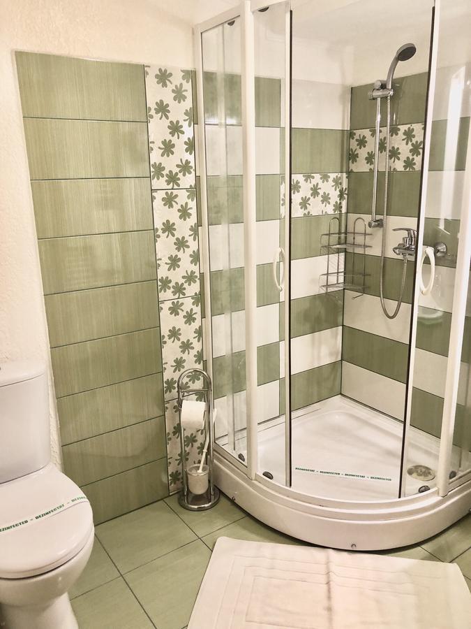 Pensiunea Sofia Timișoara Zewnętrze zdjęcie