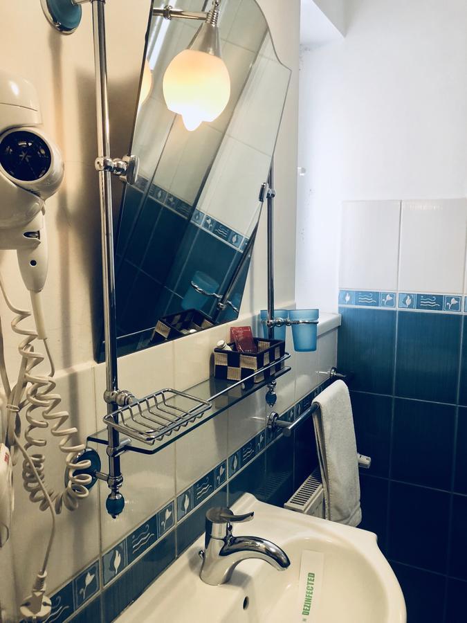 Pensiunea Sofia Timișoara Zewnętrze zdjęcie