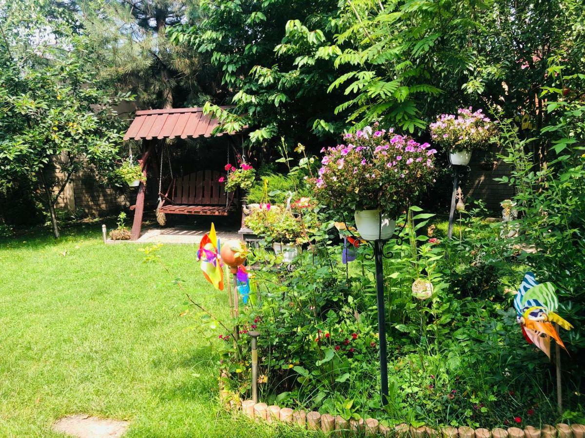 Pensiunea Sofia Timișoara Zewnętrze zdjęcie